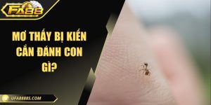 Mơ thấy bị kiến cắn đánh con gì? - Thông điệp giấc mơ