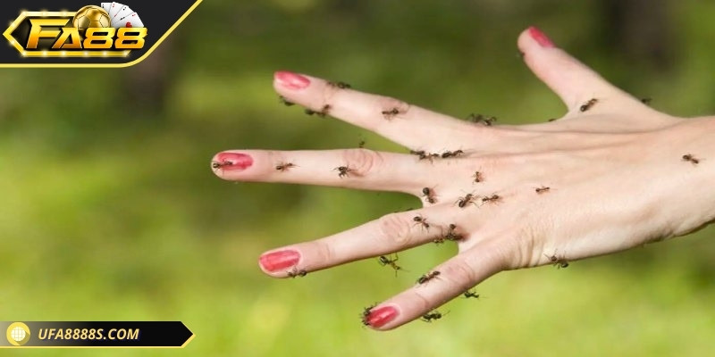 Đánh con gì khi mơ thấy một bầy kiến cắn